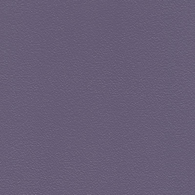 Studio Grape